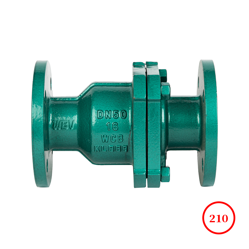 PTFE lined flange check valve H44F46