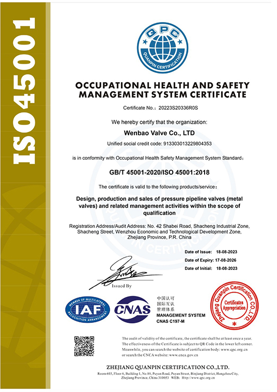 Occupational Health and Safety Management System Certification