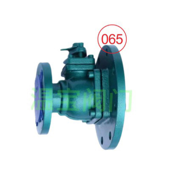 Discharge Valve