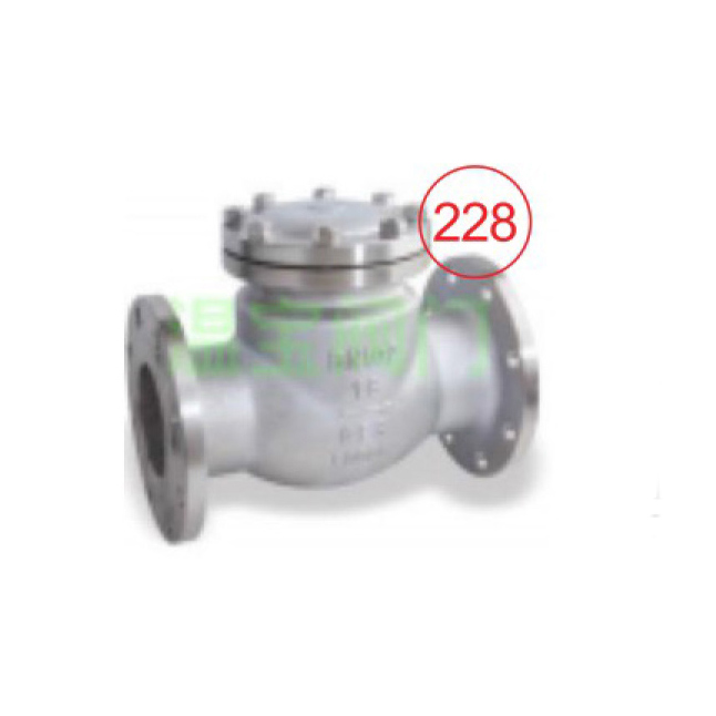 Chemical Department Flange Swing Check Valve H44W